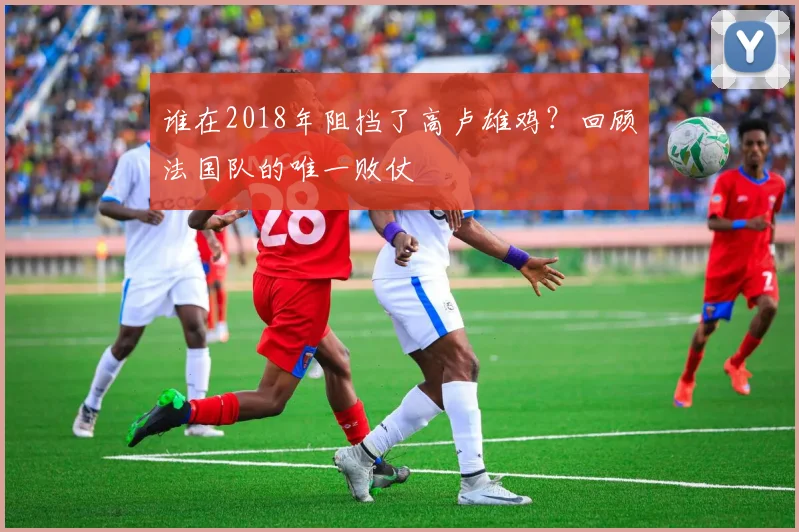谁在2018年阻挡了高卢雄鸡？回顾法国队的唯一败仗