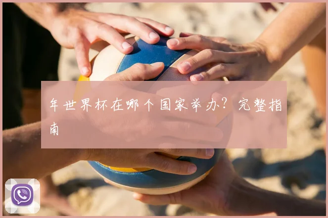 年世界杯在哪个国家举办？完整指南