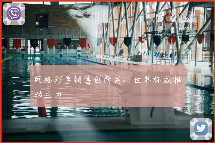 网络彩票销售创新高，世界杯成推动主力