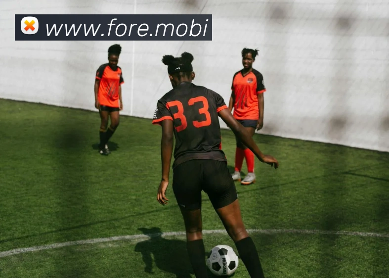 星空网官网登录入口手机版服务体系